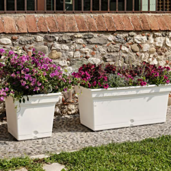 Jardinera Aqua