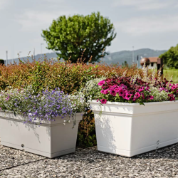 Jardinera Aqua
