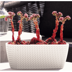 Jardinera Splofy