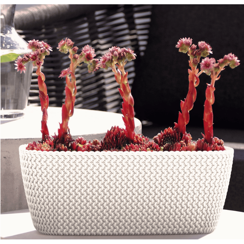 Jardinera Splofy