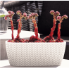 Jardinera Splofy