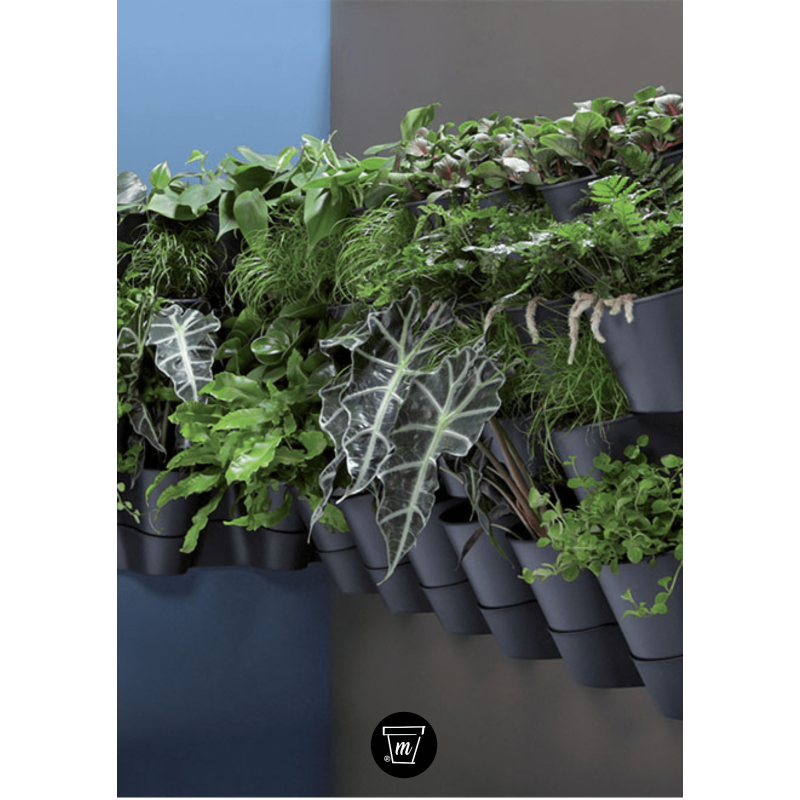 Jardinera Vertical Pared