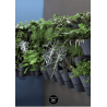 Jardinera Vertical Pared