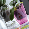 Maceta Orquidea Glamour