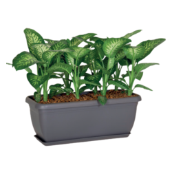 Jardinera Maxi Única