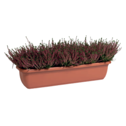 Jardinera Única