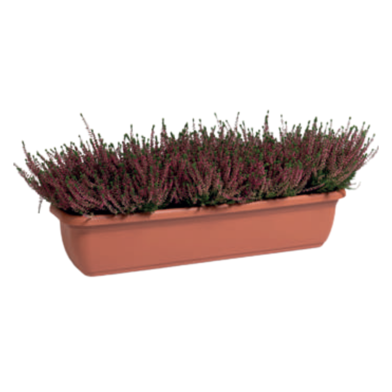 Jardinera Única