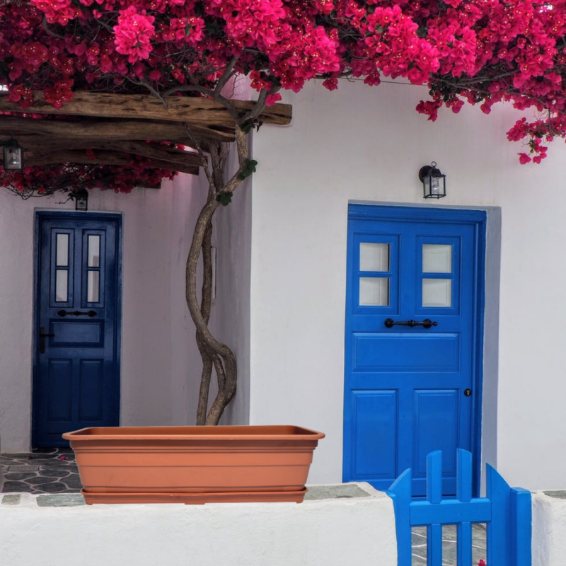Jardinera Europa