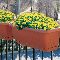 Jardinera Koala C/Plato