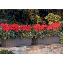 Jardinera Ibol C/Plato