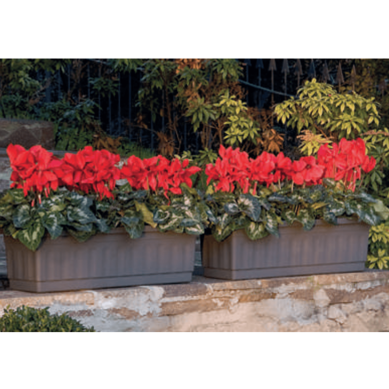 Jardinera Ibol C/Plato