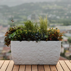 Jardinera Petram