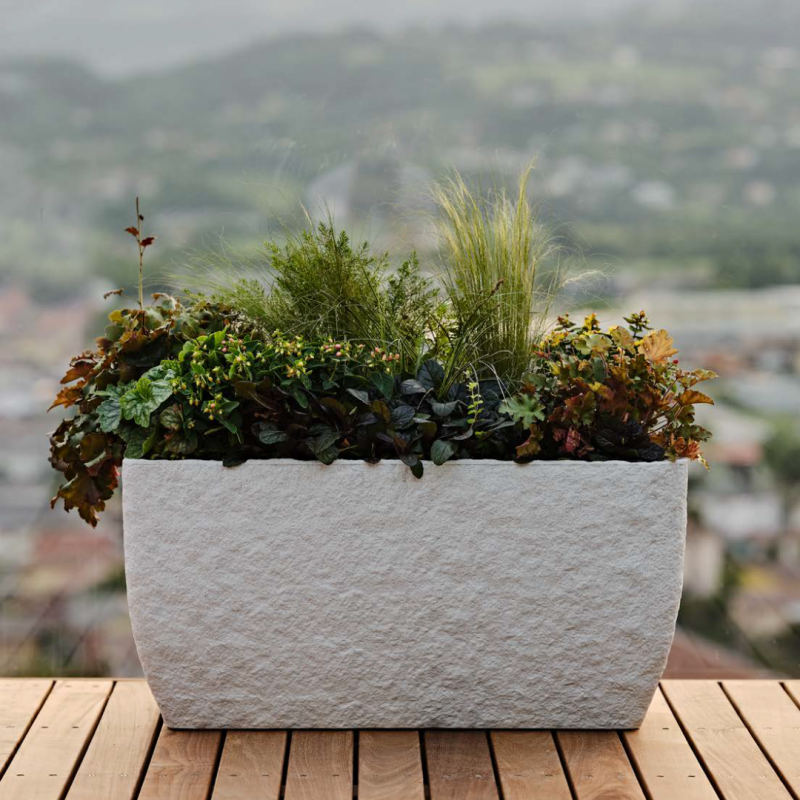 Jardinera Petram