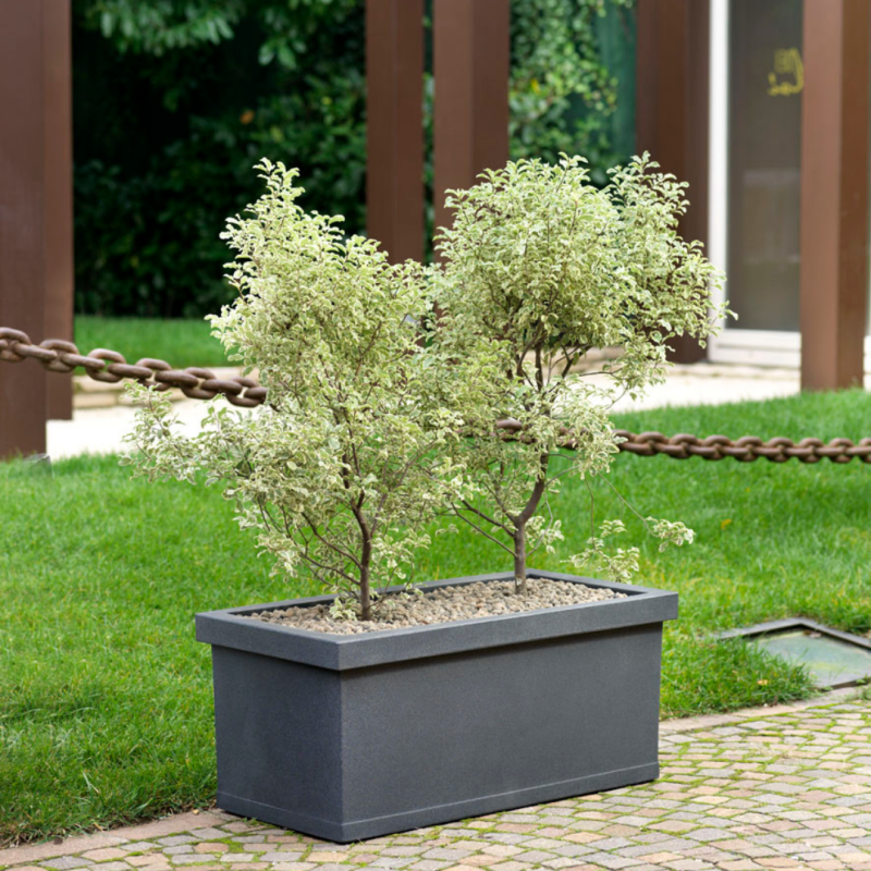 Jardinera Líscia Trp