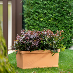 Jardinera Líscia Trp