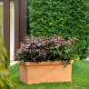 Jardinera Líscia Trp