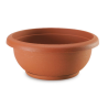 Bol Terrae C/Plato