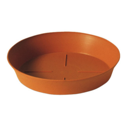 Plato Corinto