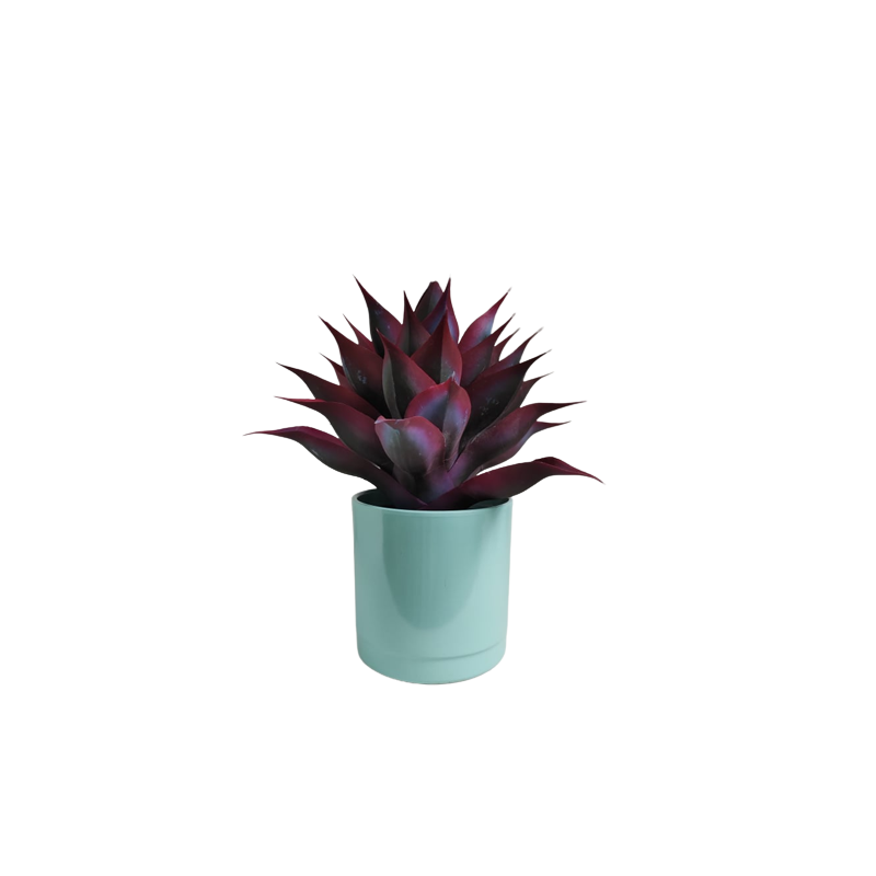 Maceta Maia