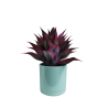 Maceta Maia