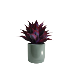 Maceta Maia