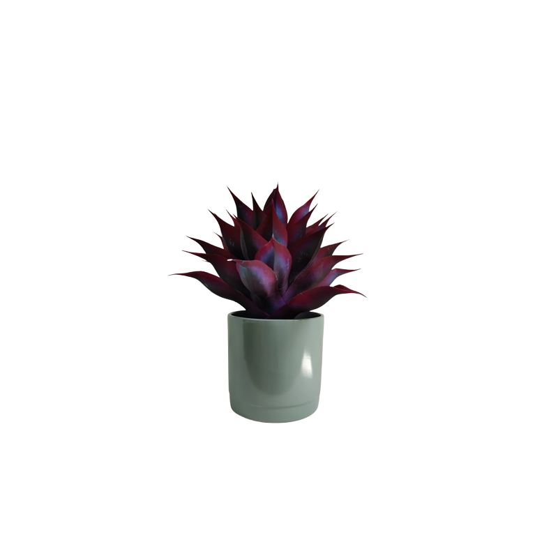 Maceta Maia