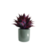 Maceta Maia