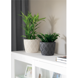 Maceta Flow Petit Eco