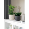 Maceta Flow Petit Eco