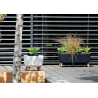 Jardinera Gracia
