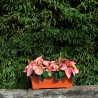Jardinera Basaltti