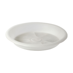 Plato Orquídea Alabastro